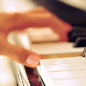 最新肉丝袜福利在线观看
