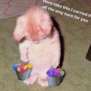 最新肉丝袜福利在线观看
